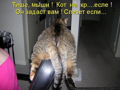 getImage (7).jpg