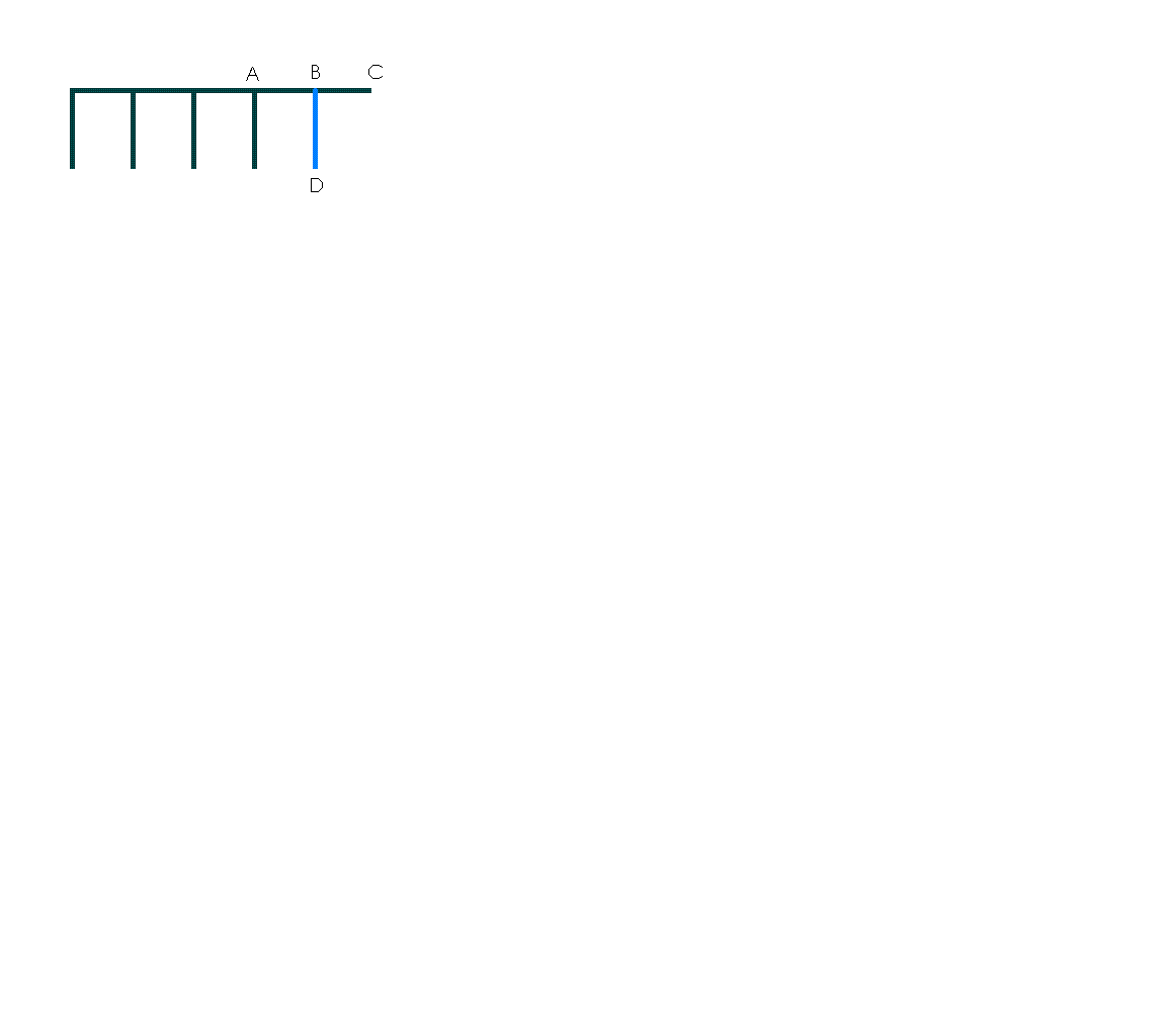 q1.GIF