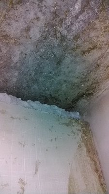 P_20150131_125547.jpg