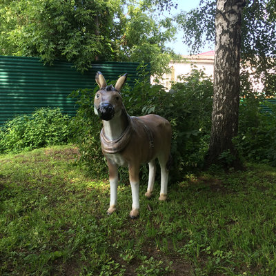Животные1.jpg