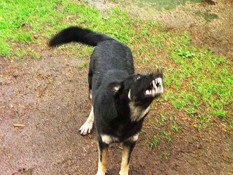 К нам не подходи.jpg