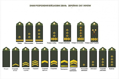 Погоны ВСУ.png
