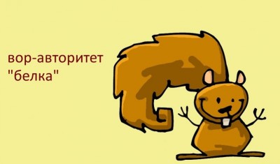 belka_45760957_big_.jpg