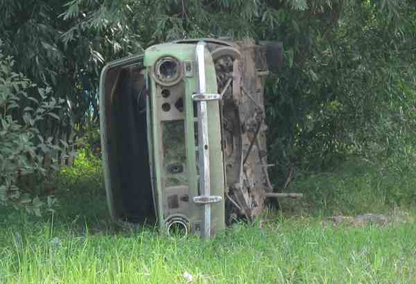 Зелёная копейка.jpg