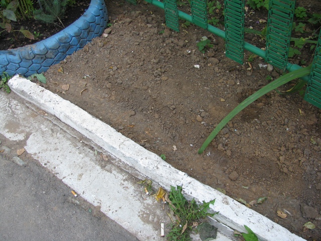 IMG_1171_след протектора у палисадника.jpg