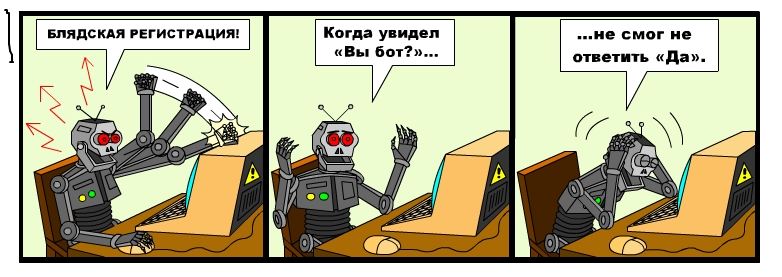 Бот.jpg