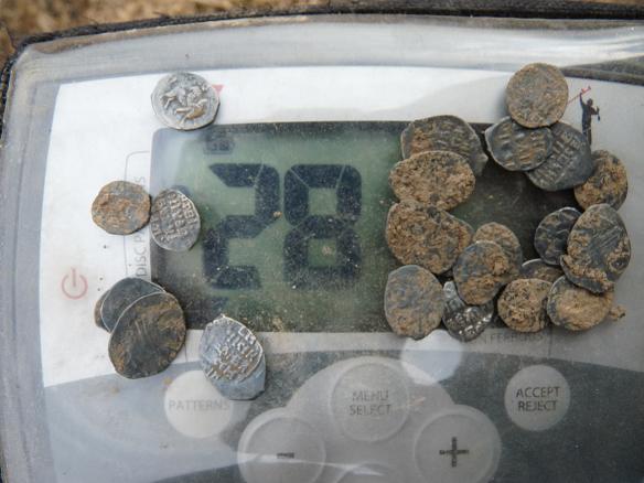 Чешуя на Ногино нет.JPG