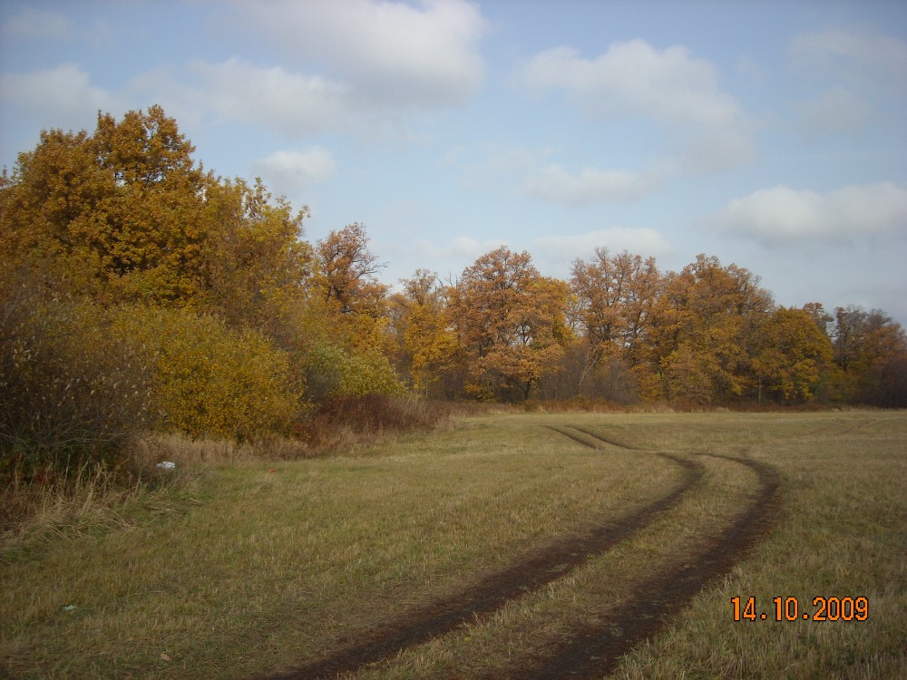 14.10.09 013.jpg