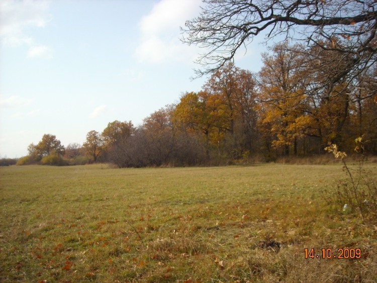 14.10.09 016.jpg