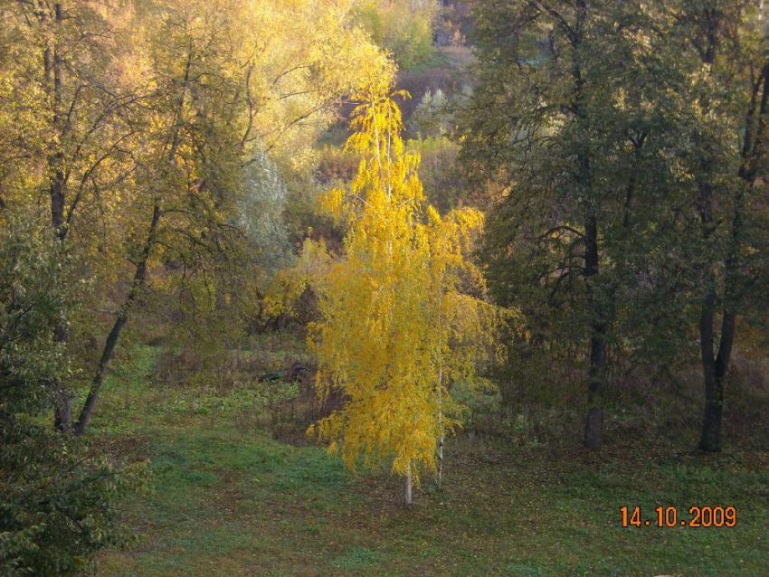 14.10.09 012.jpg