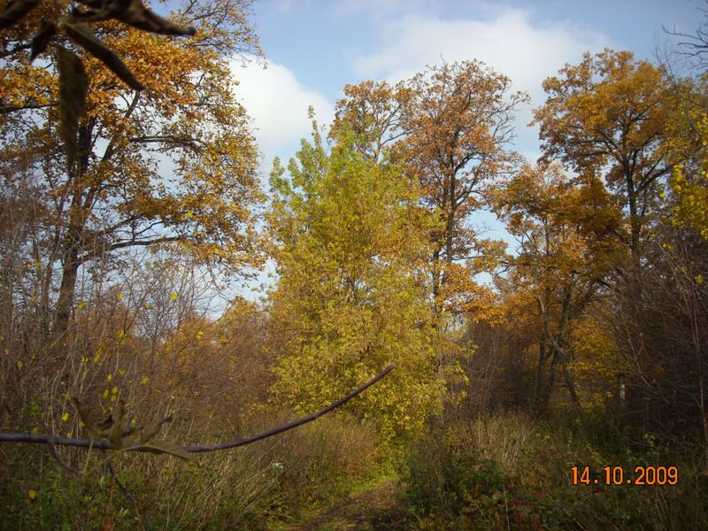 24.10.09 001.jpg