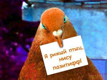 x_292220a8.jpg