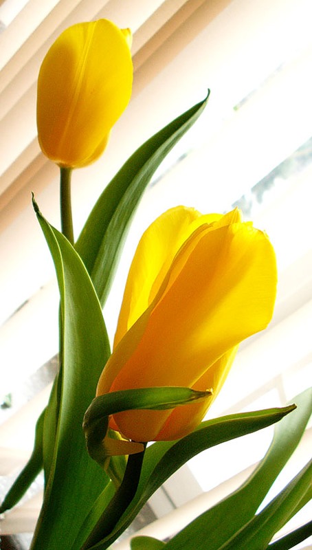 0_ec90_a28caa87_XL.jpg