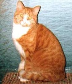 1998.jpg