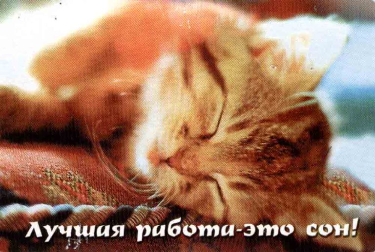 i_2853_2.jpg