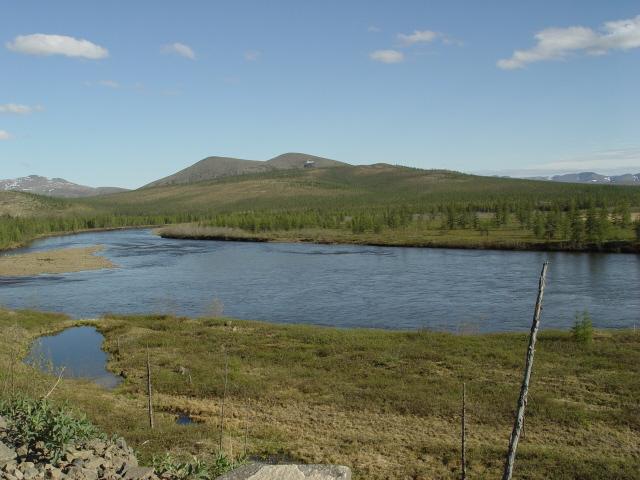post-97-1186865201.jpg