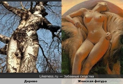 1250018072.jpg