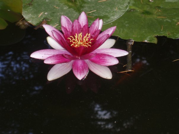 x_65d21e63.jpg