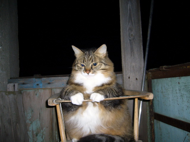 Изображение bnjk.lh.jpg