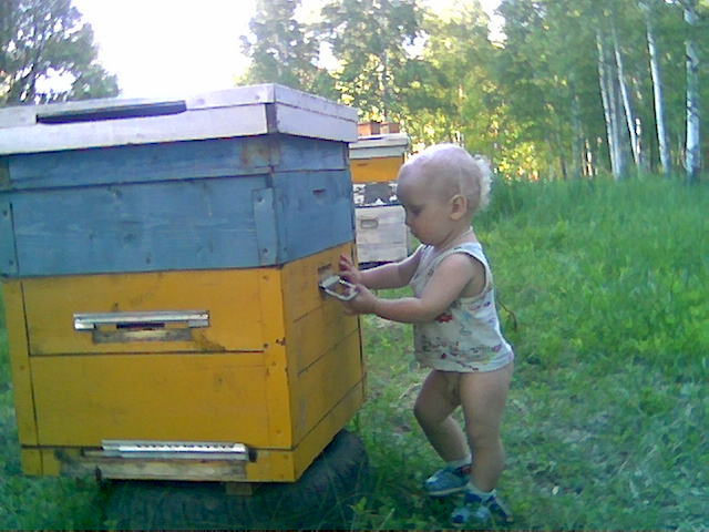 наследник.jpg