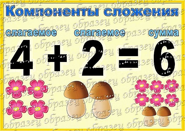Грибы и цветы.jpg