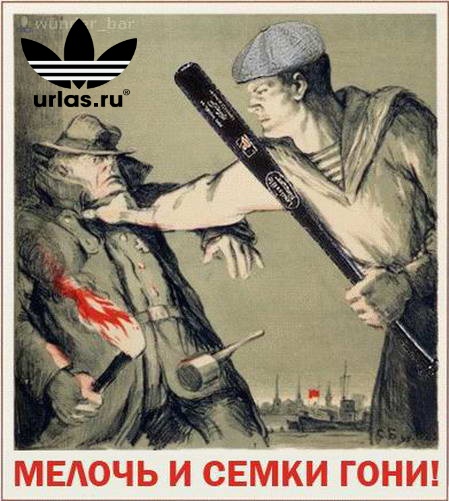 5c77c423c610.jpg