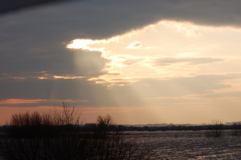DSC_0558.jpg