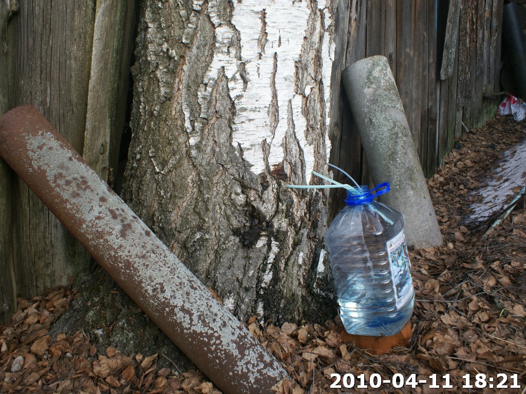 DSC07252.jpg