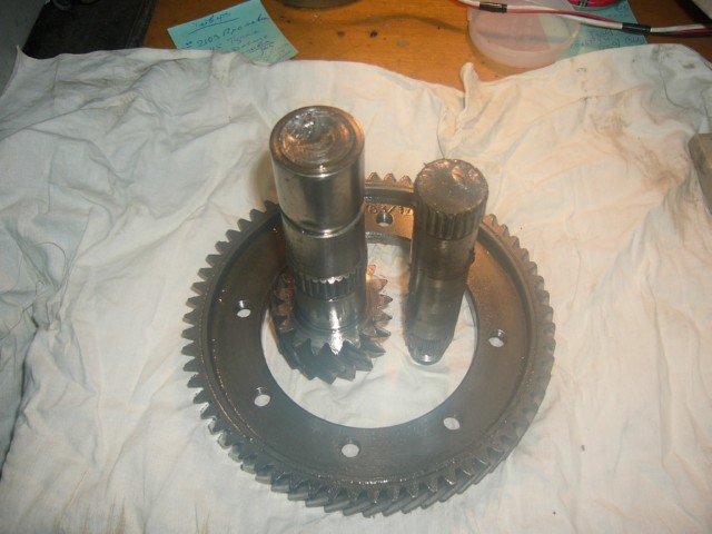 Главная пара1.jpg