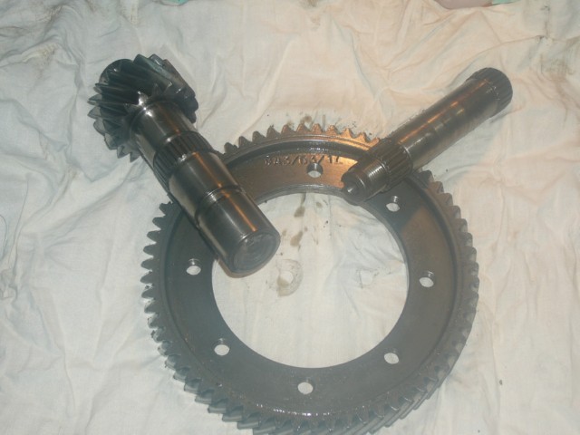 Главная пара2.jpg