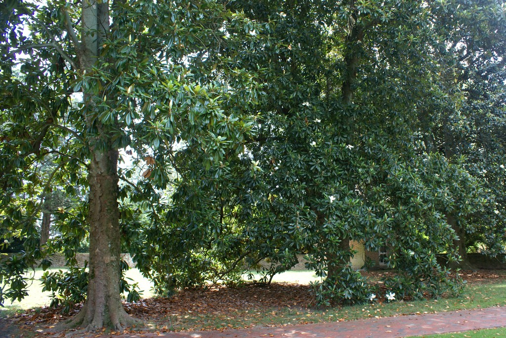 10000614_00007.jpg