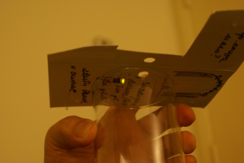 10200616_00001.jpg