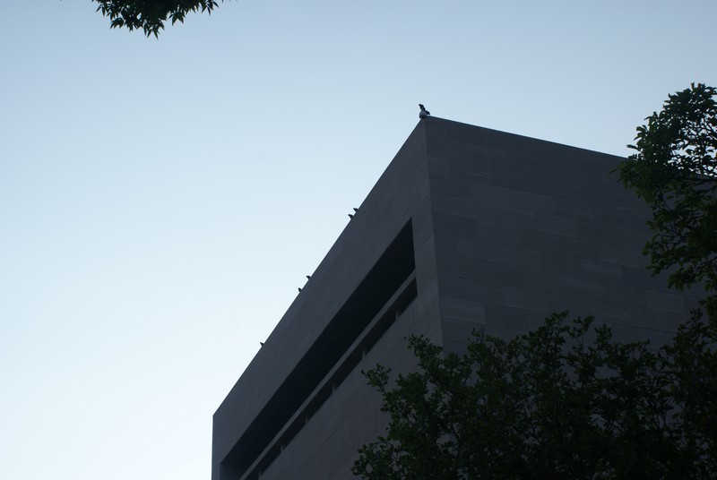 25-06-10_00009.jpg