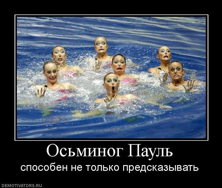 осьминог.jpg