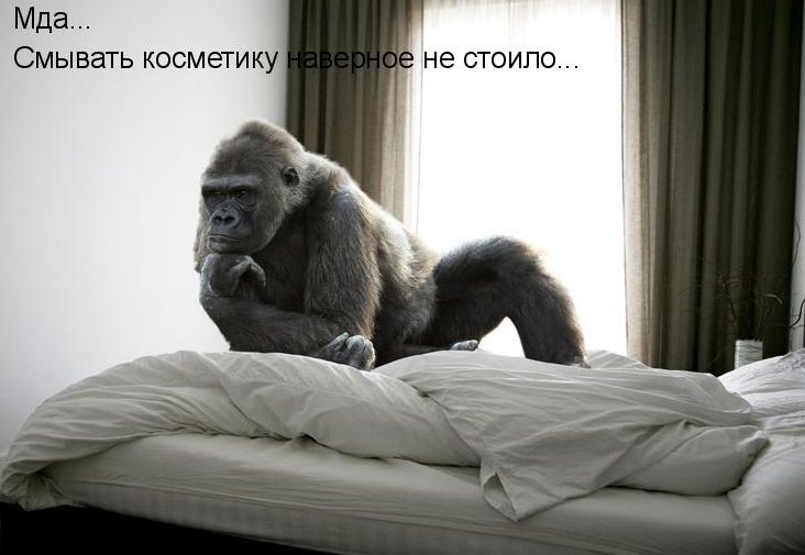 косметика.jpg