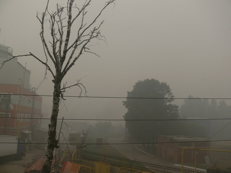 P1360163.JPG