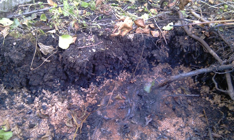 кромка несгоревшего торфа.jpg