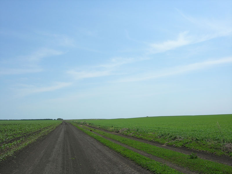 DSCN8635.JPG
