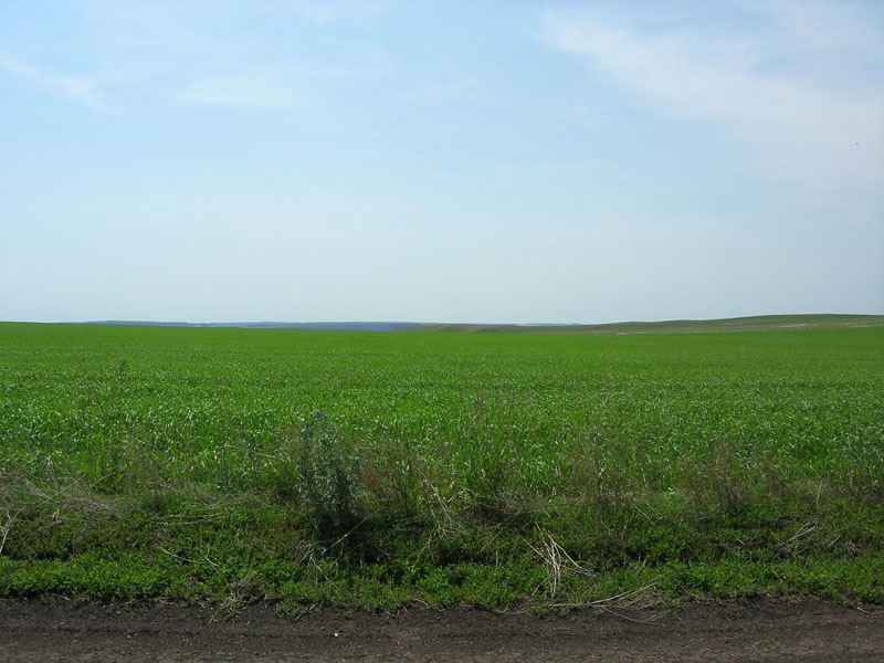 DSCN8636.JPG