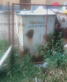 IMAG0036_2.jpg