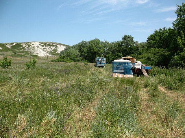 IMG_2460_1_1.JPG