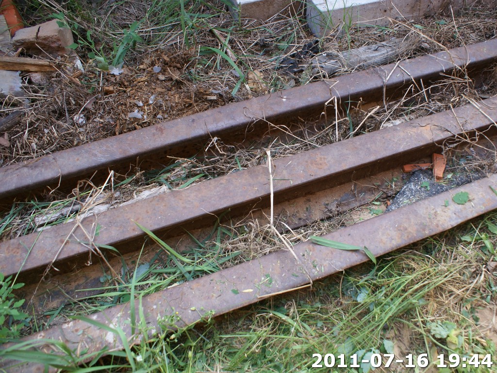DSC05981.jpg