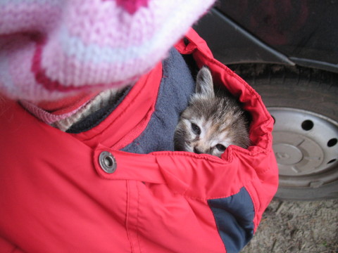 img- 247_1.jpg
