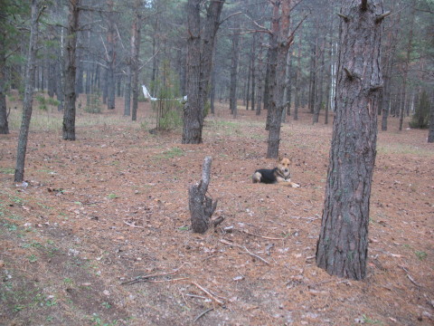 img- 174_1.jpg
