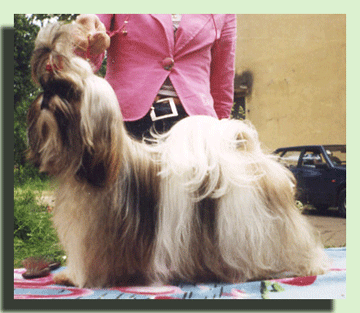 Колоред Пипл Степ Аут.gif