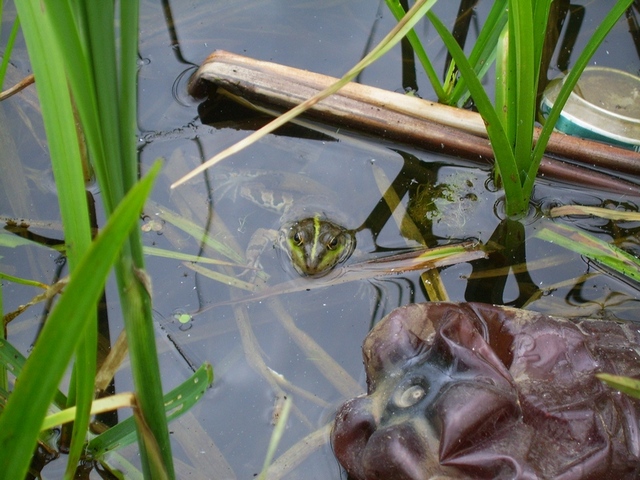 SV100673_1.jpg