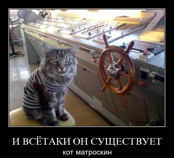9eec876e7e3070ca159a56cdaa286dc9f4924dbf_1.jpg
