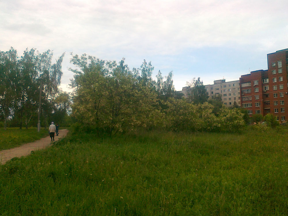 270520120681.jpg