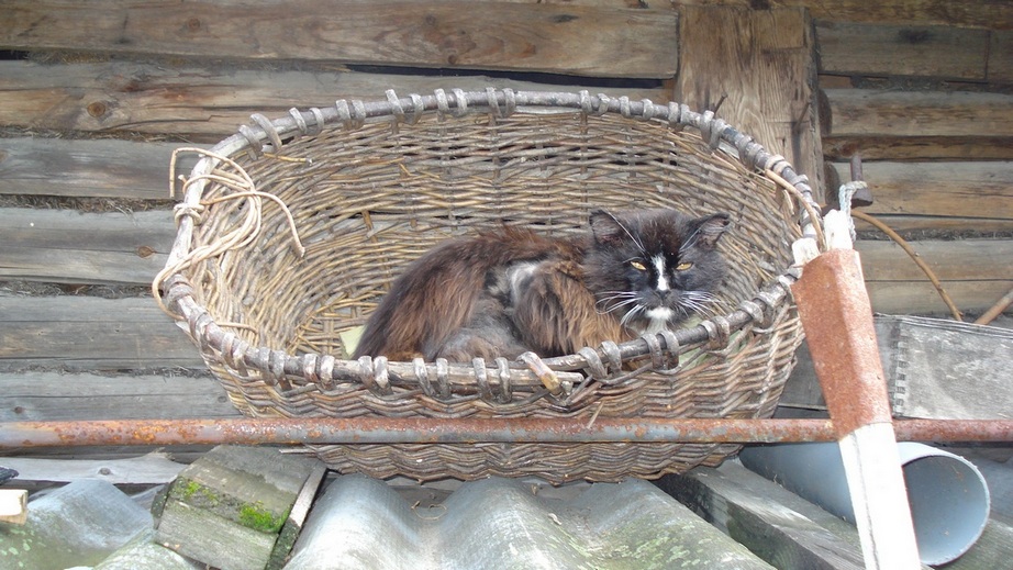 гроза деревни.jpg