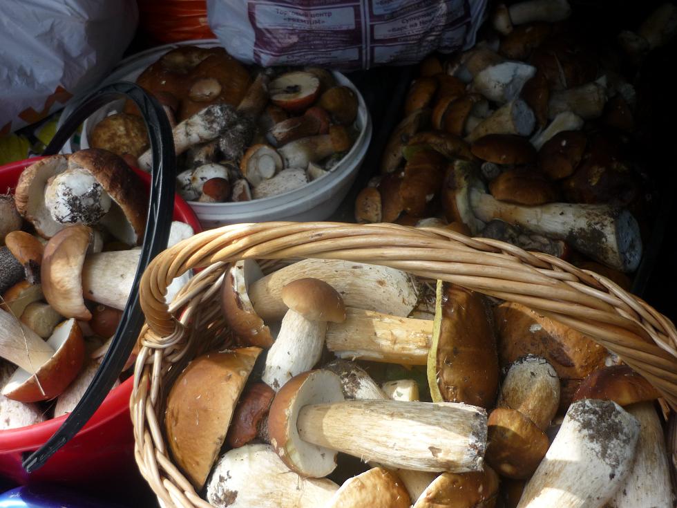 грибы мал2.JPG